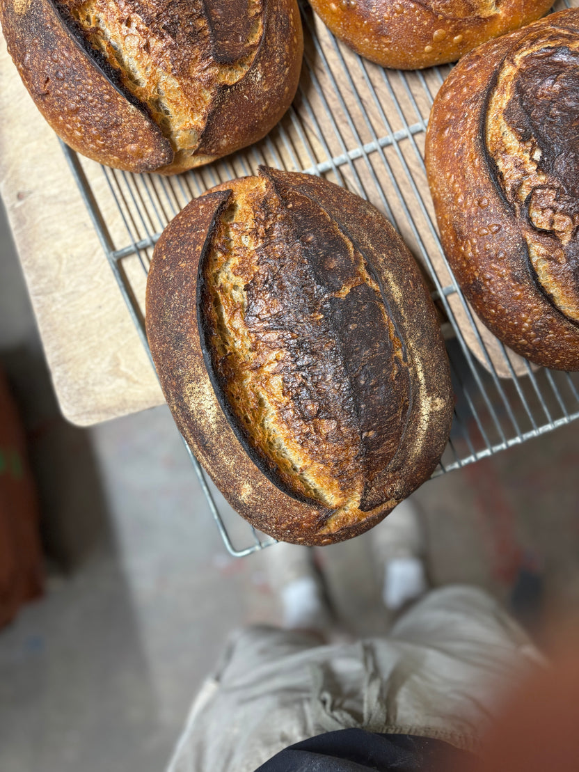 Solo Bread
