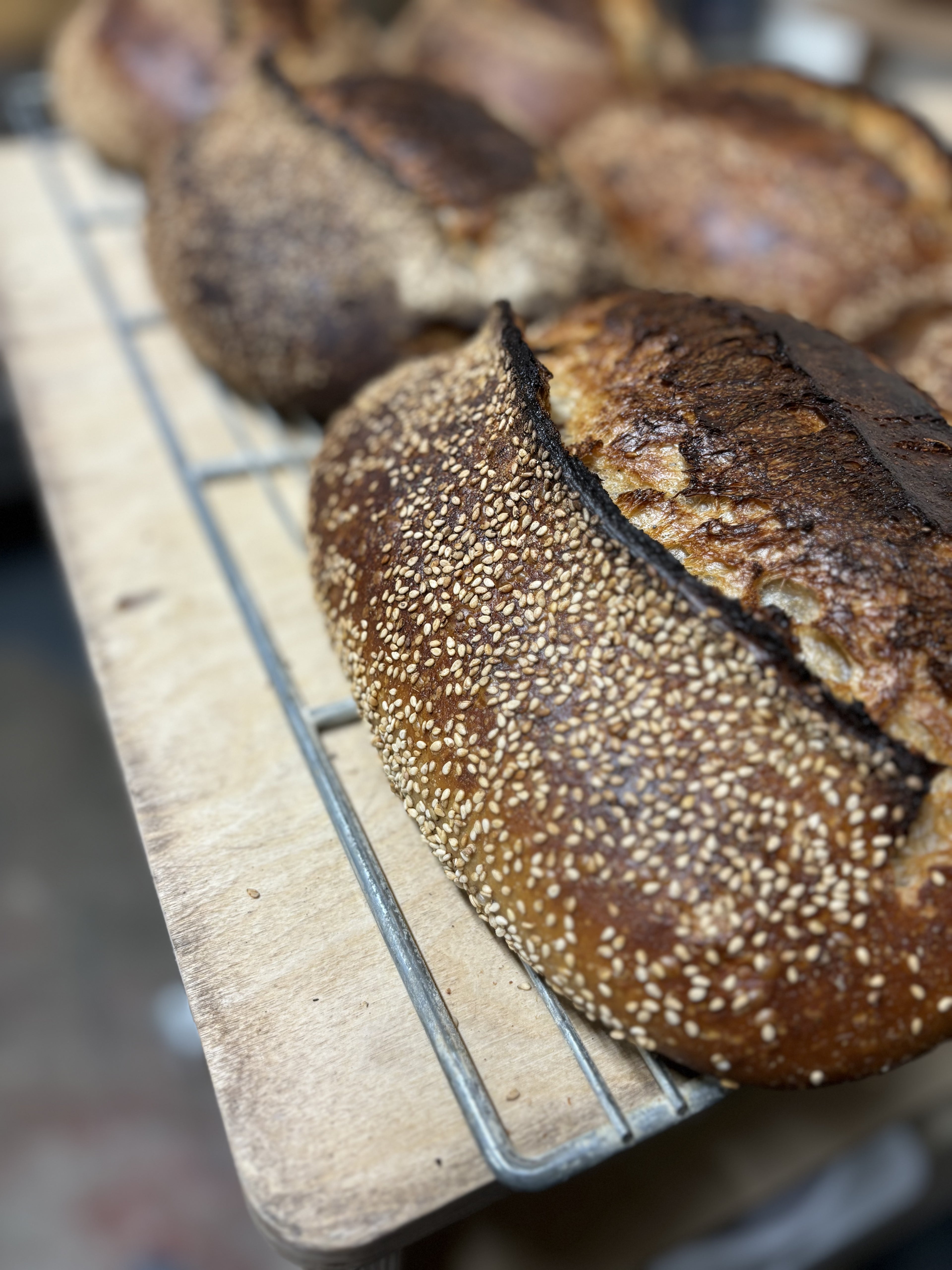 Country bread – Sesame