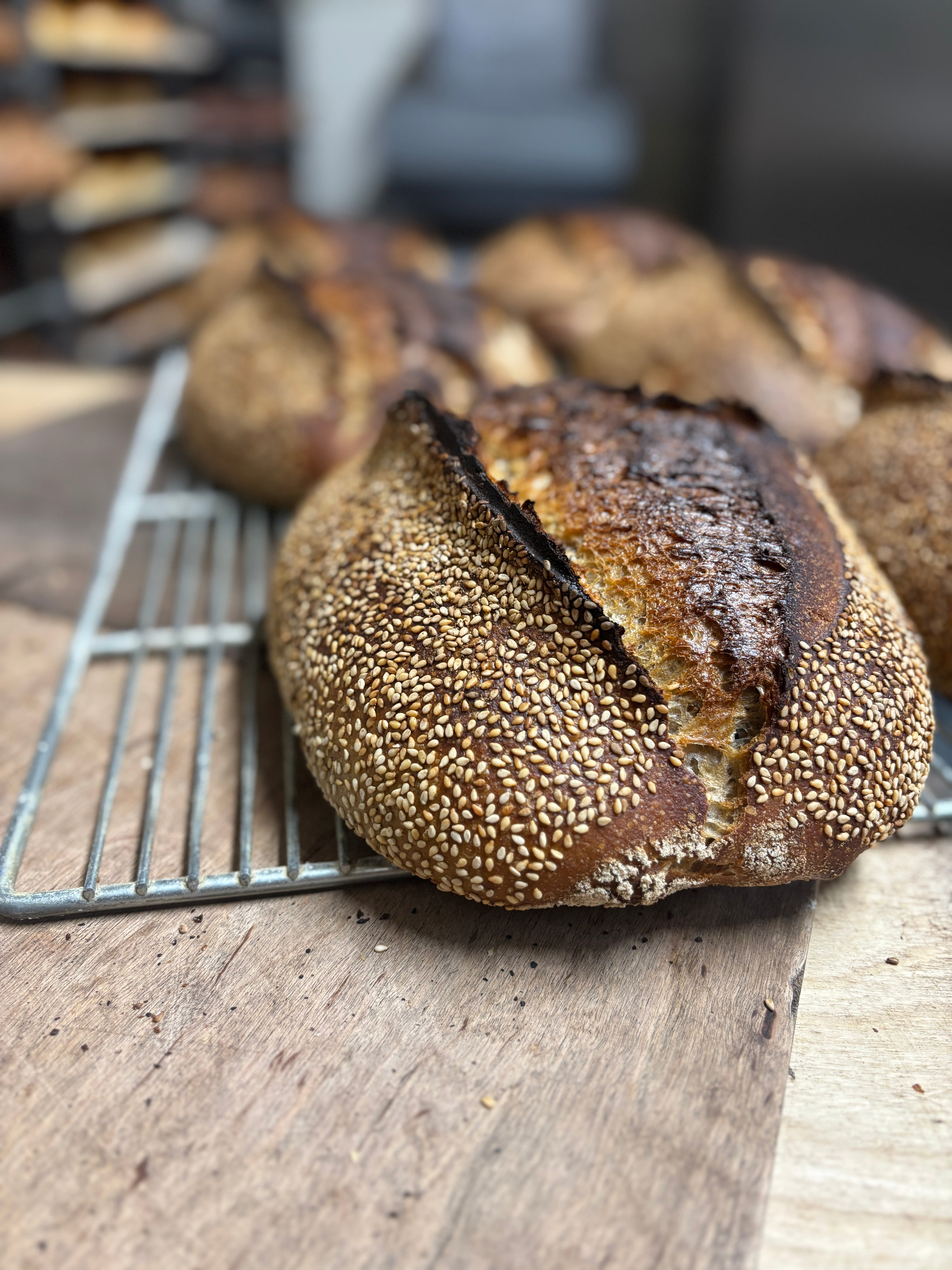 Country bread – Sesame
